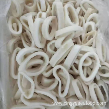 Frozen Todarodes Pacificus Squid Rings